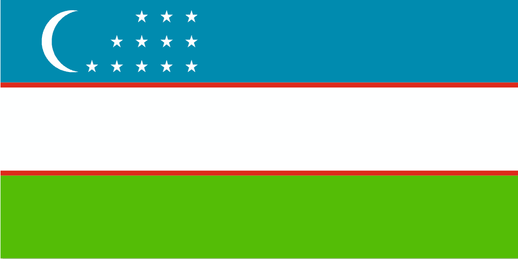 Davlat bayrog'i tasviri